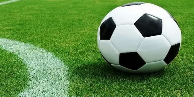 Cách đọc kèo Malaysia hiệu quả